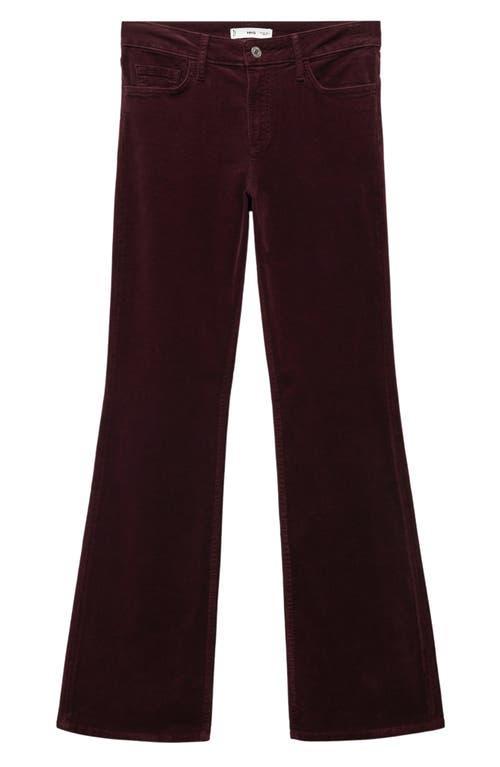 MANGO Corduroy Flare Leg Pants Product Image