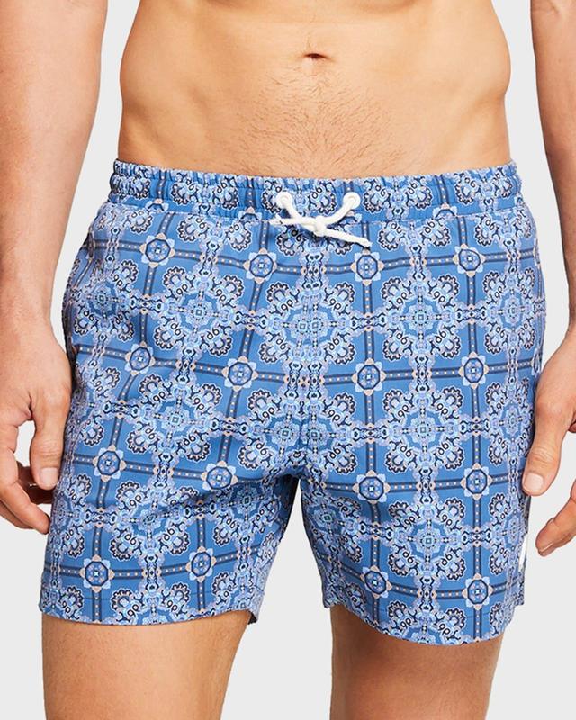 Mens Printed Swim Trunks Product Image