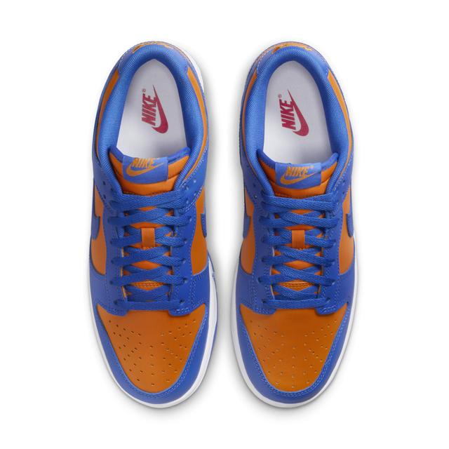 Nike Dunk Low Retro Casual Shoes (Mens Sizing) Product Image