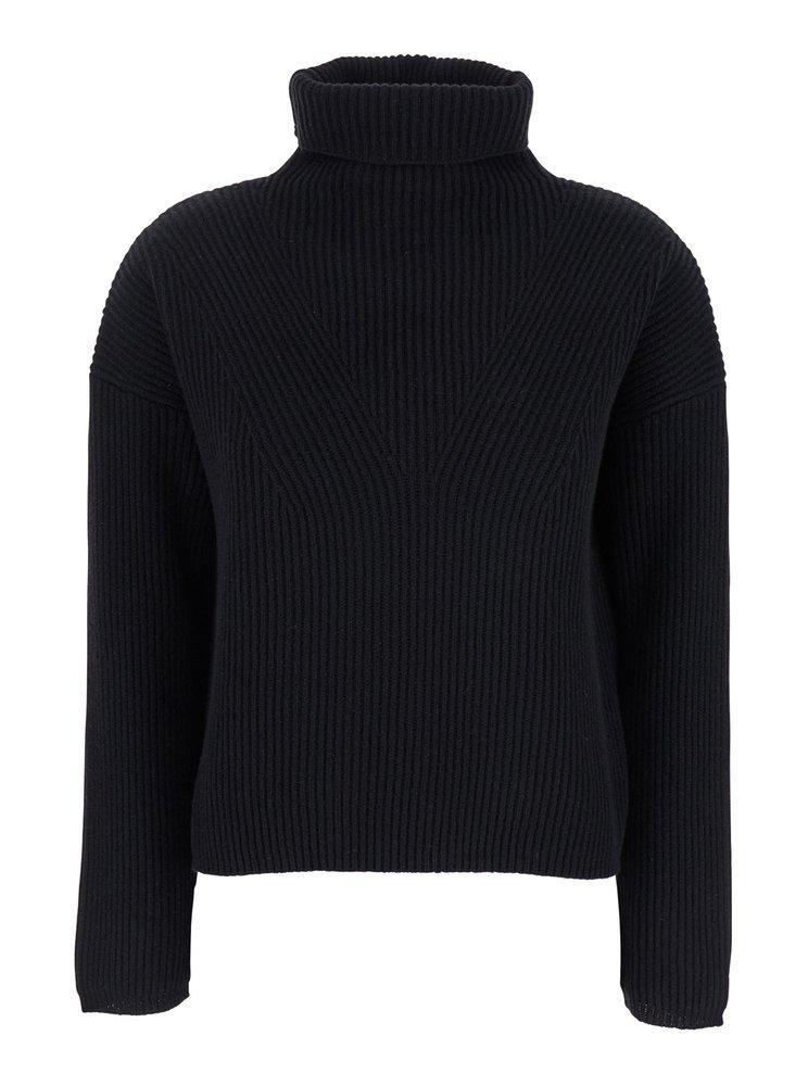 MAX MARA Studio Turtleneck Long In Black Product Image