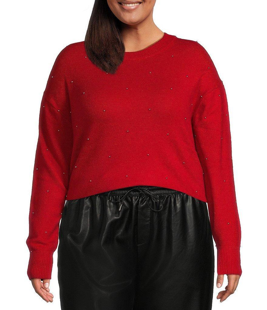 Dex Clothing Plus Long-Sleeve Embellished Sweater Product Image