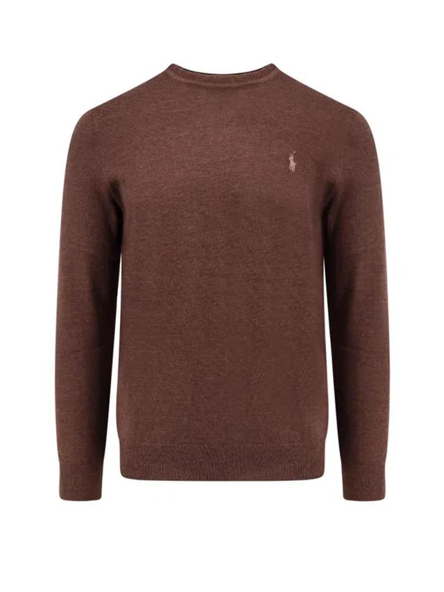 Logo Embroidered Crewneck Jumper In Brown Product Image