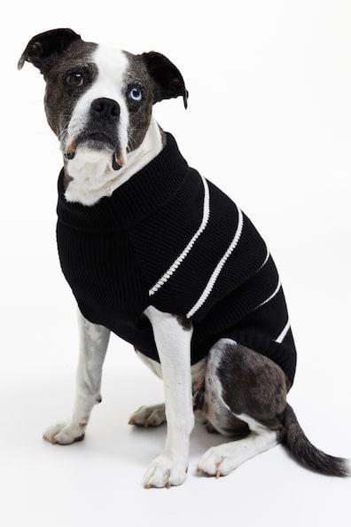 Rib-knit Dog Sweater Product Image