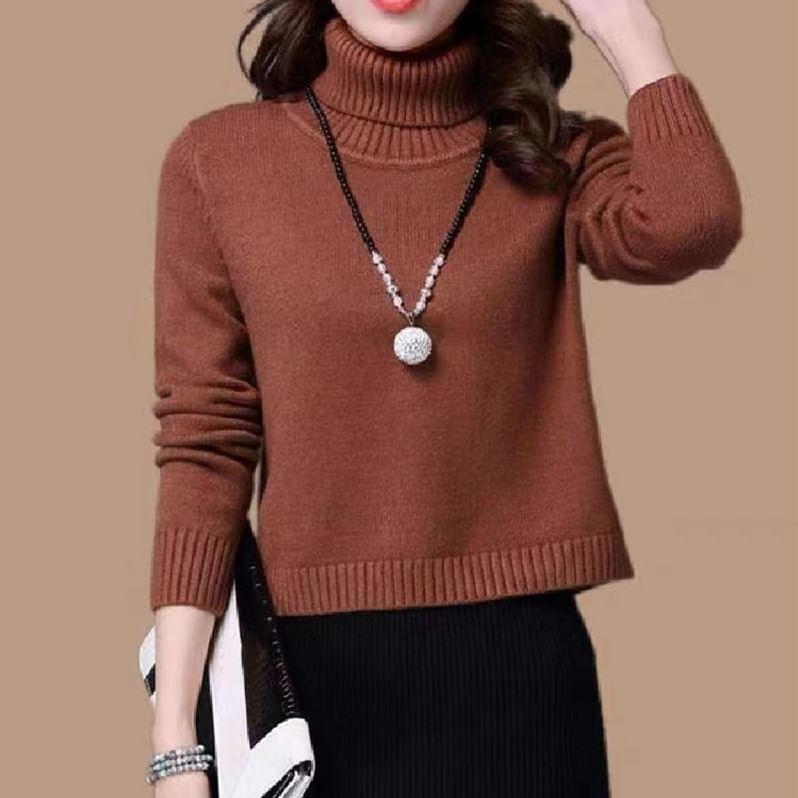 Long-Sleeve Turtleneck Plain Knit Top Product Image