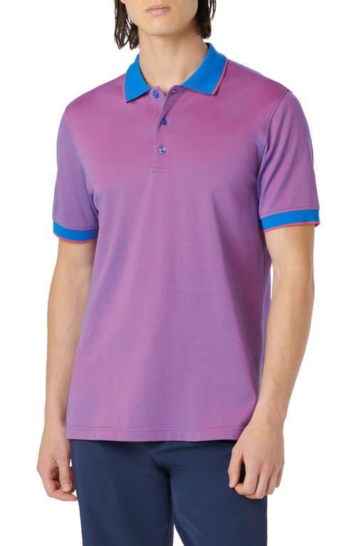 Bugatchi Tipped Piqu Polo Product Image