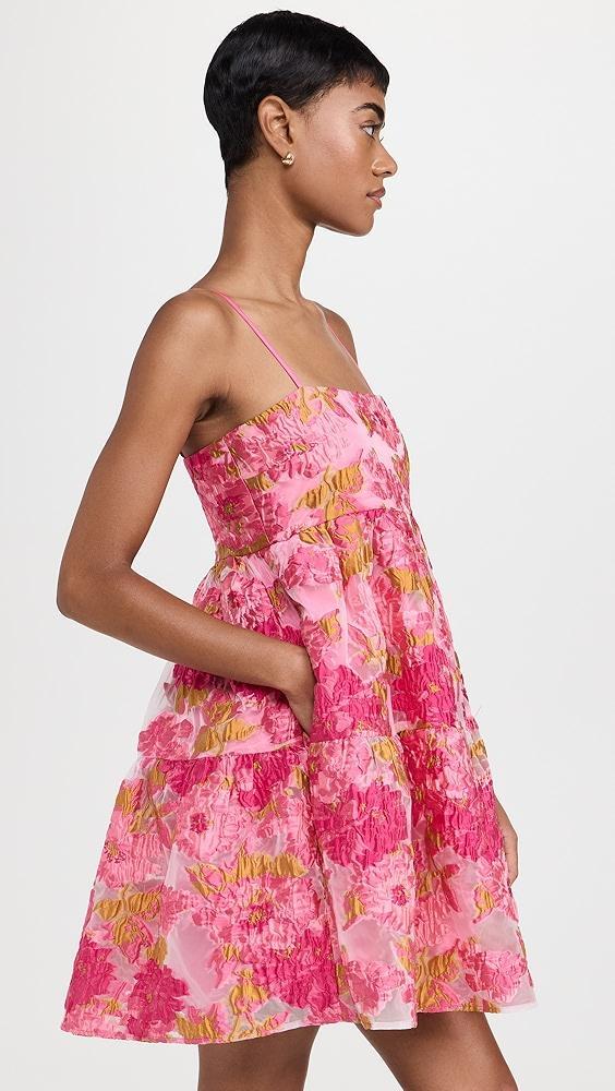 endless rose Organza Floral Mini Dress | Shopbop Product Image