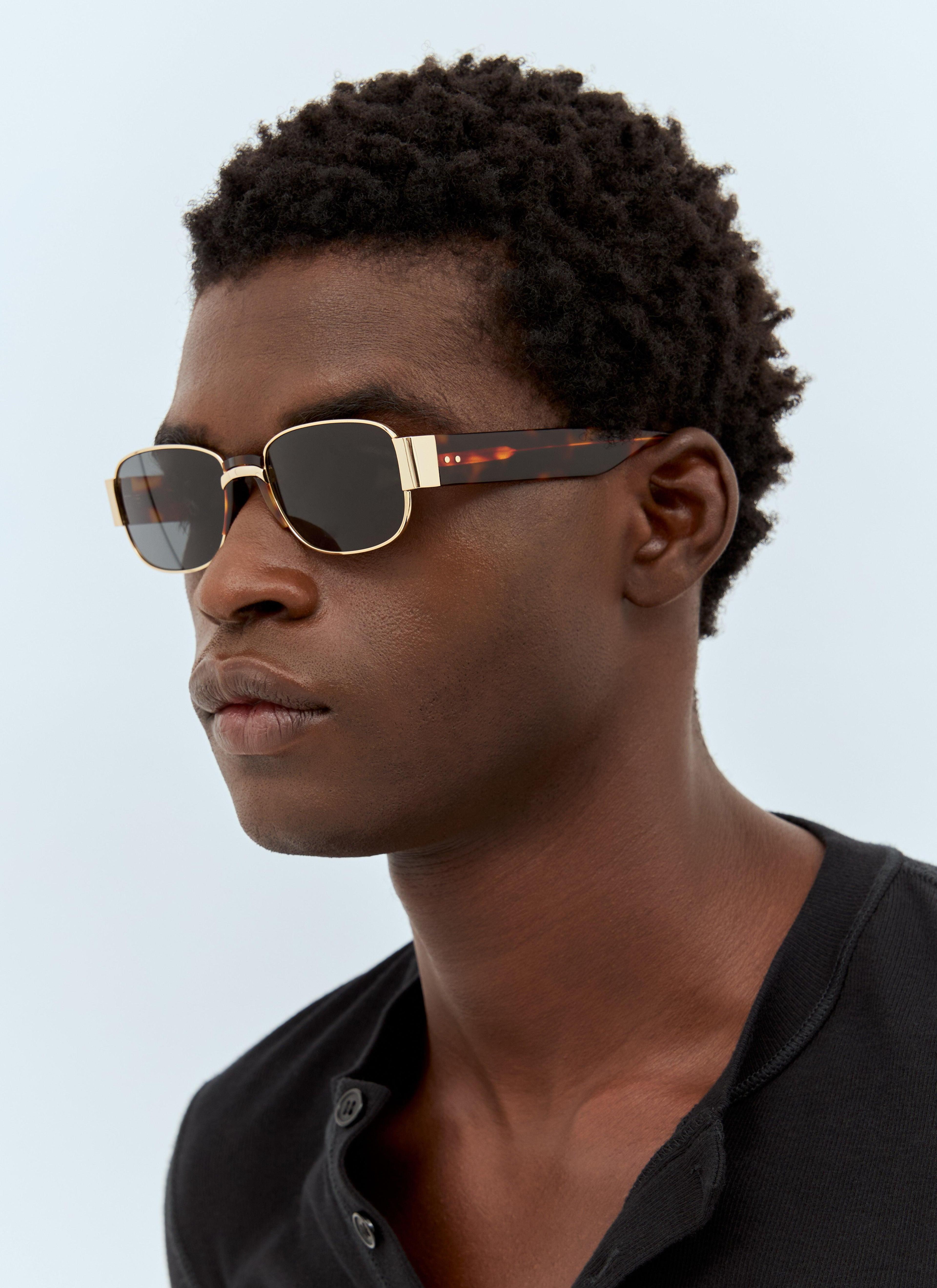 Square-oval Sunglasses In Tortoise In Brown Product Image