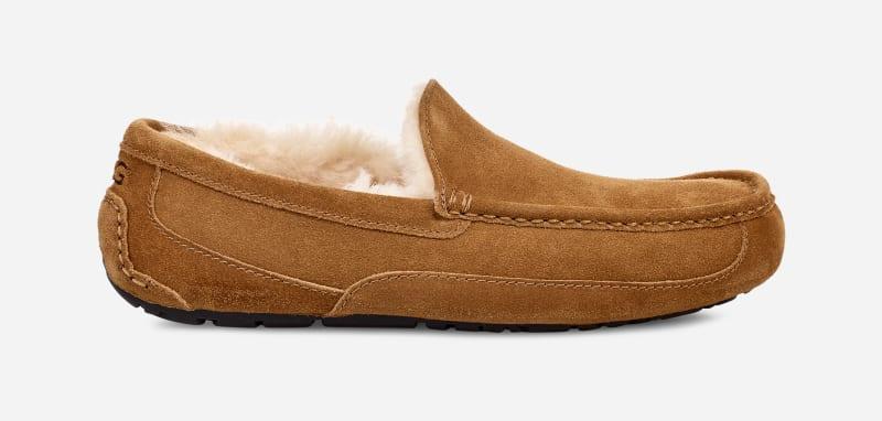 UGG Mens UGG Ascot - Mens Shoes Product Image