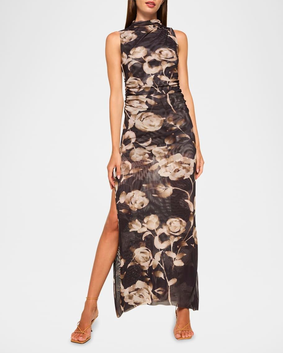 Athena Faded Rose-Printed Mesh Maxi Dress product image