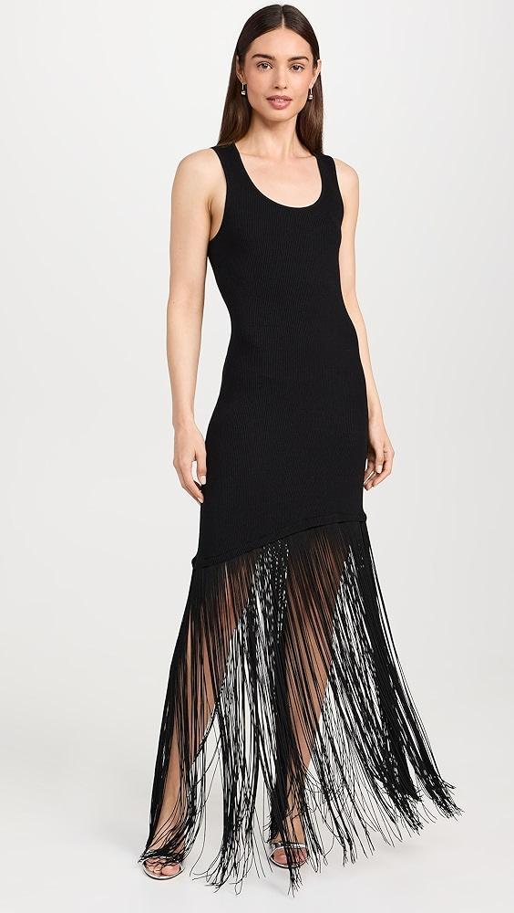 Le Superbe Fringe Hem Tank Dress | Shopbop Product Image