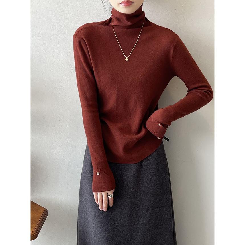 Long-Sleeve Turtleneck Knit Top Product Image