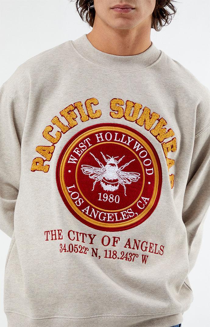 Men's Pacific Sunwear Chenille Crew Neck Sweatshirt Product Image