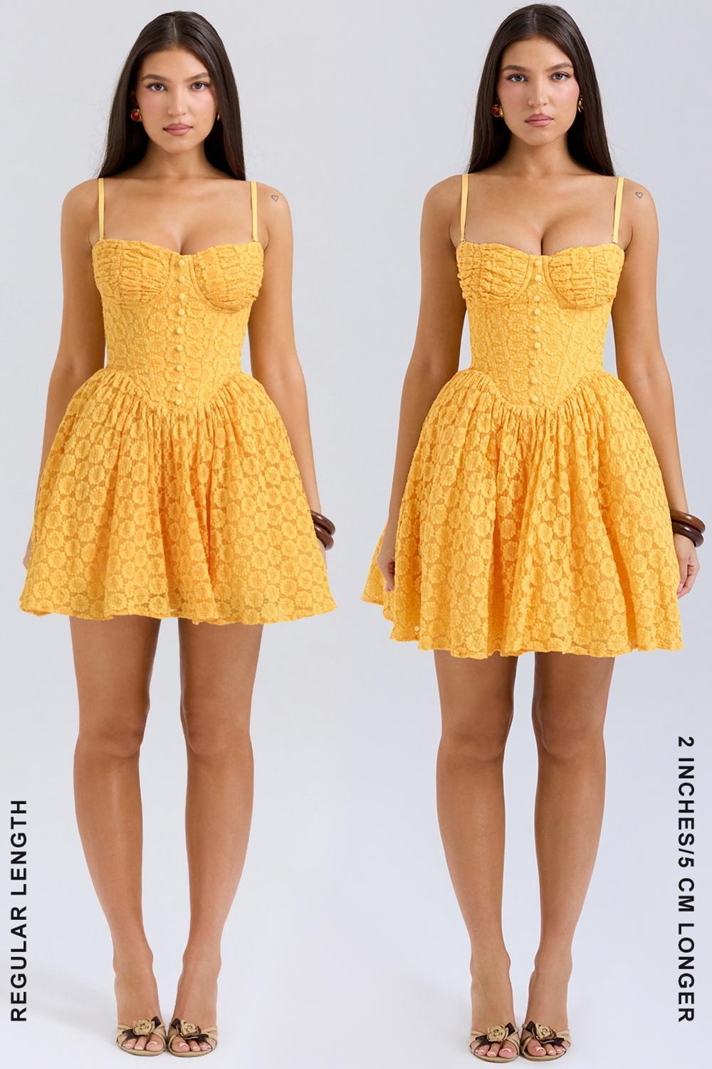 Carolina Apricot Lace Corset Mini Dress Product Image