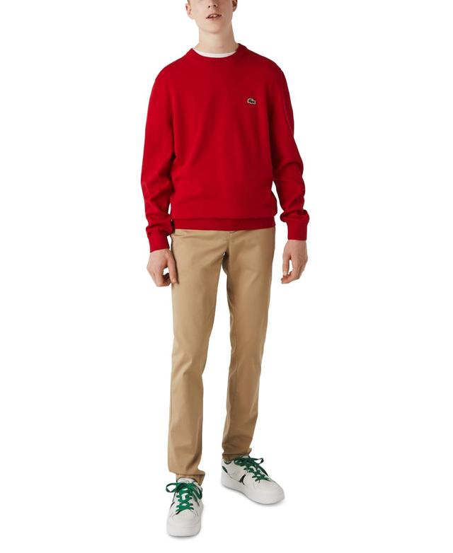 Mens Cotton Crewneck Sweater Product Image