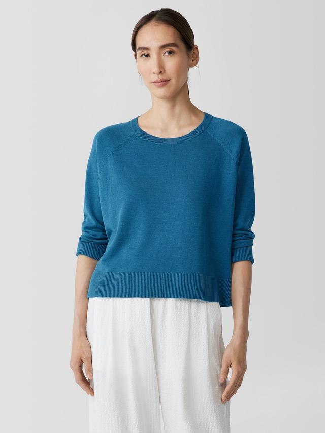 EILEEN FISHER Organic Linen Cotton Raglan-Sleeve Topfemale Product Image