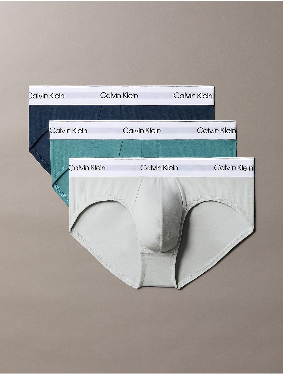 Calvin Klein Mens Modern Cotton Stretch 3-Pack Hip Brief - Multi - S Product Image