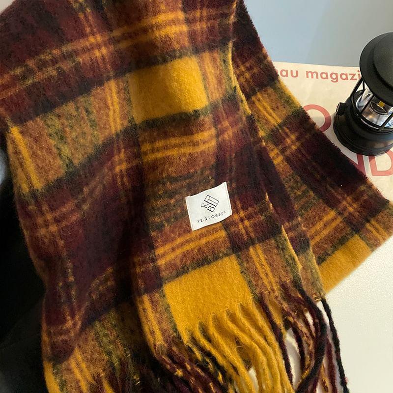 Plaid Fringed Trim Scarf Product Image