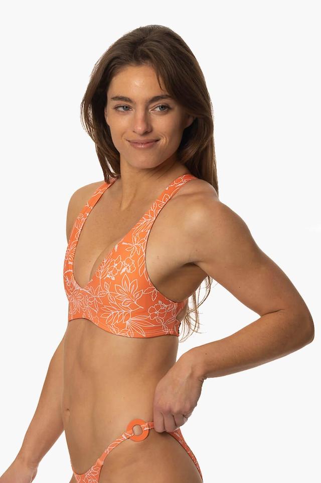 Cleo Bikini Top - Zuma Female Product Image