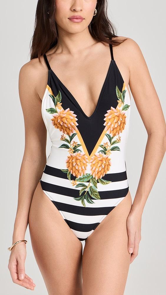 FARM Rio Biriba One Piece | Shopbop Product Image