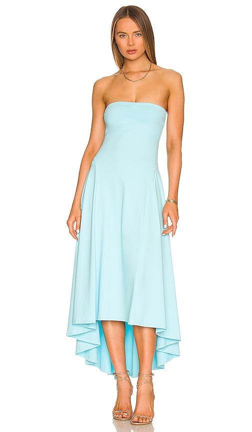 Strapless Maxi Dress Product Image