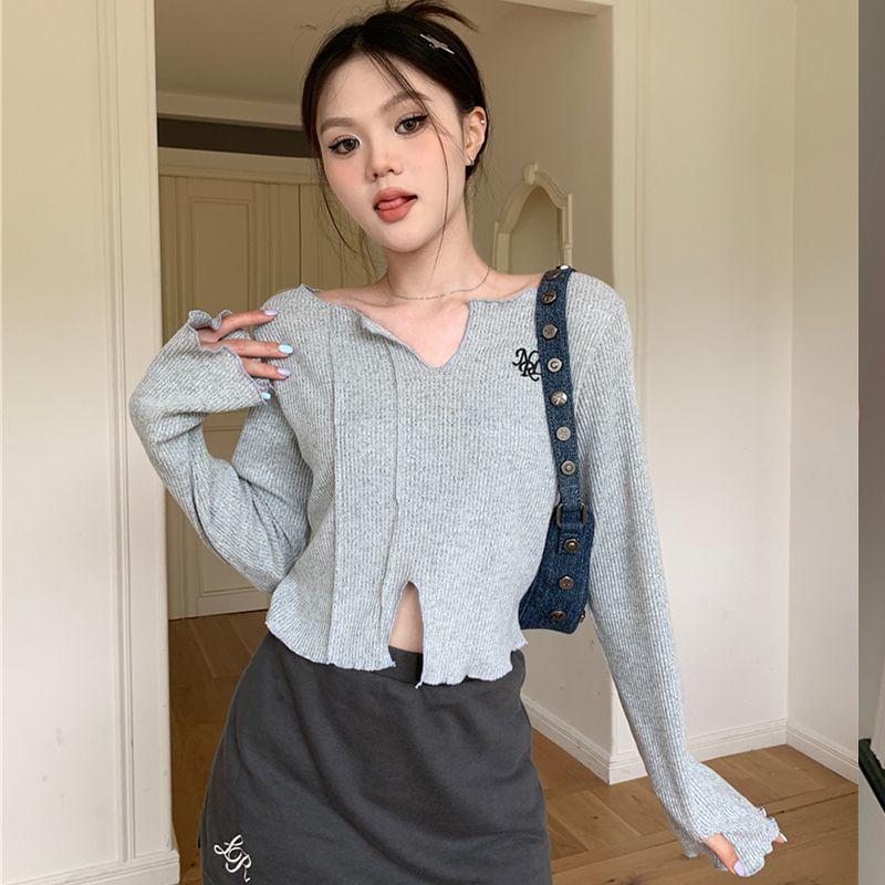 Long-Sleeve V-Neck Embroidered Crop Knit Top Product Image