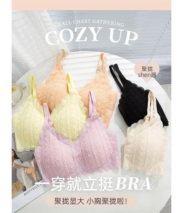 Lace Bra Product Image