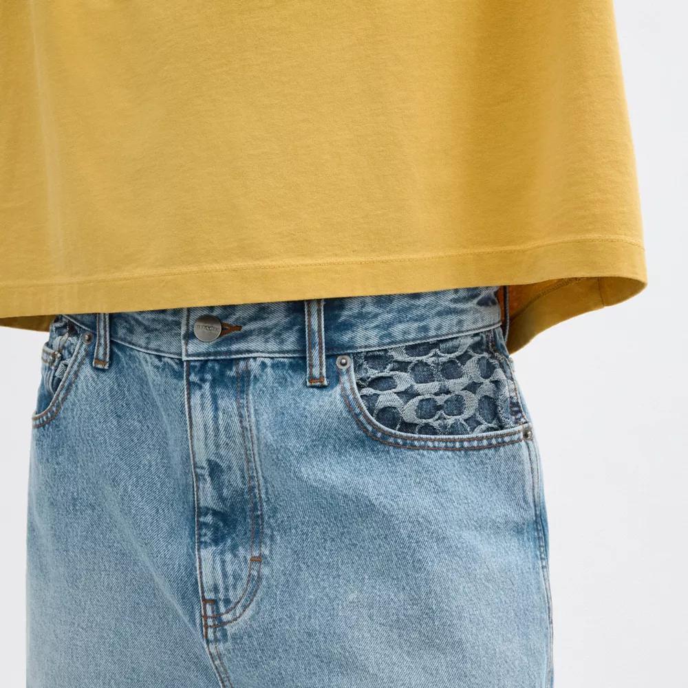 Denim Shorts Product Image