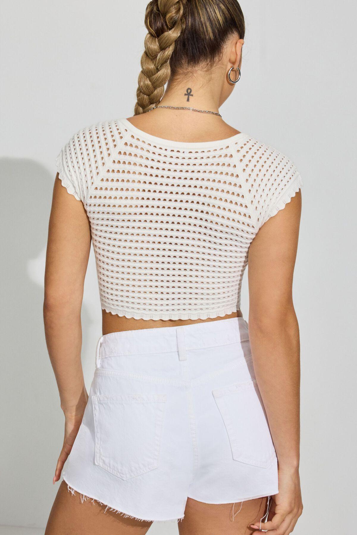 Sheer V-Neck Knit Crop Tee Product Image