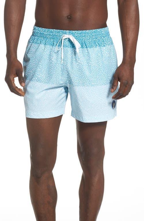 Chubbies 5.5-Inch Swim Trunks Product Image