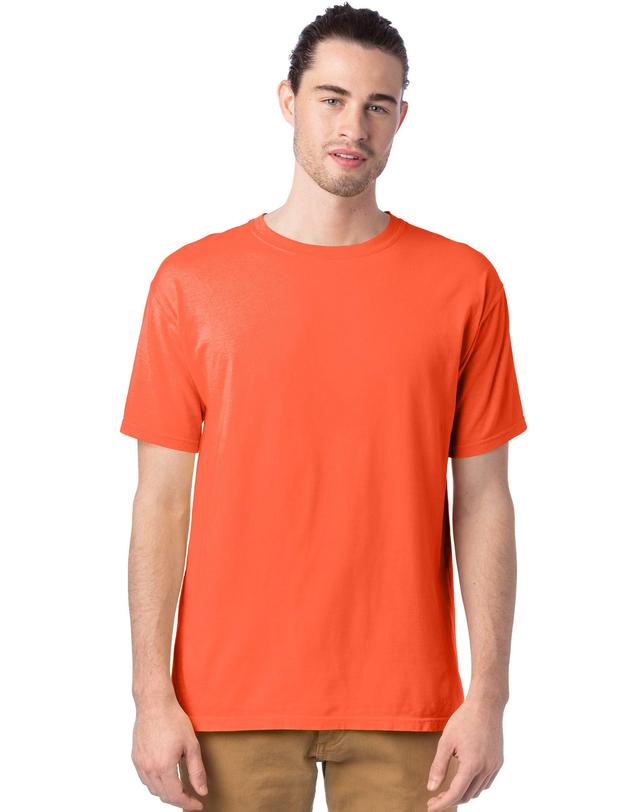 Hanes Mens Garment Dyed Cotton T-Shirt Spanish Moss 2XL Product Image