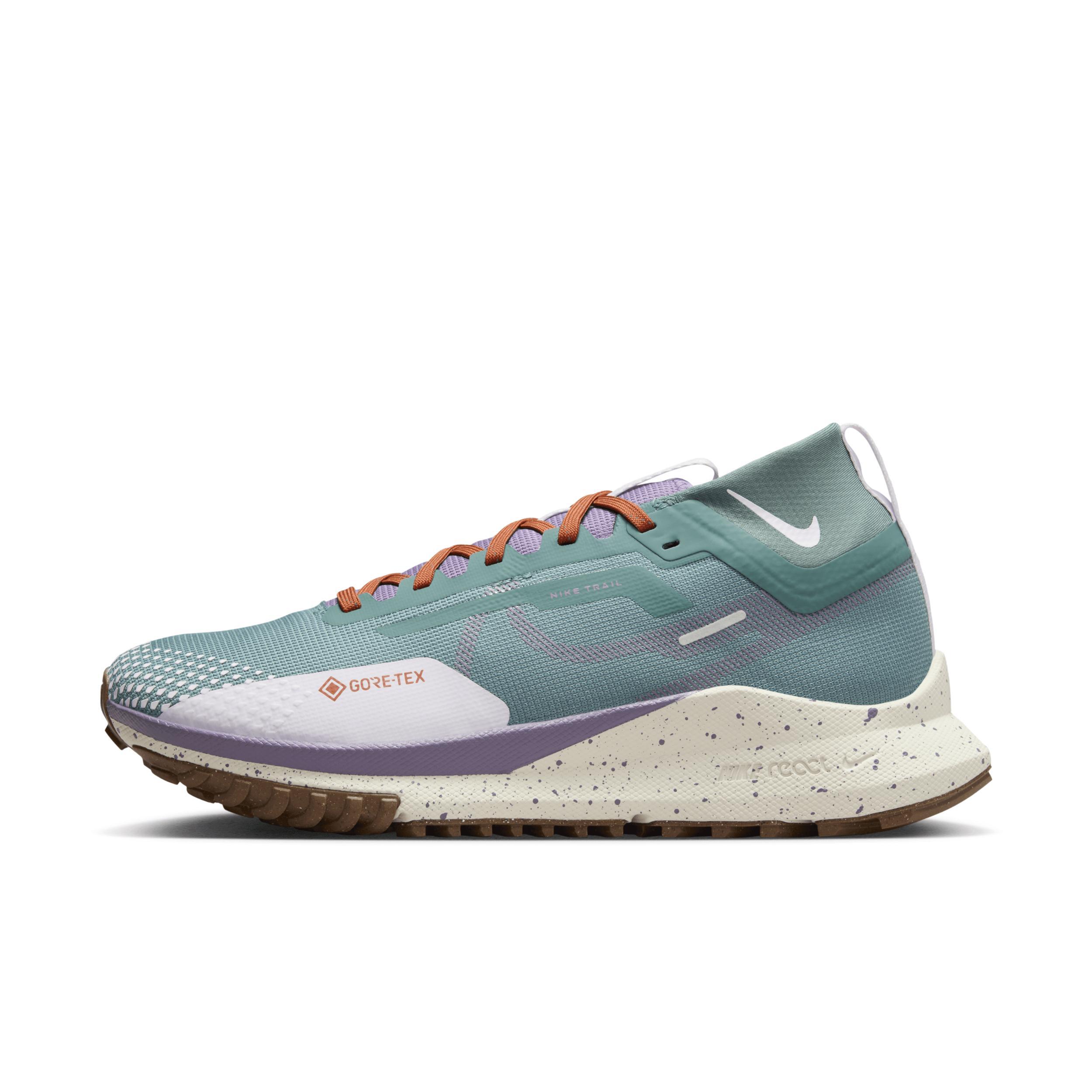 Nike Women's Pegasus Trail 4 GORE-TEX Waterproof Trail Running Shoes Product Image