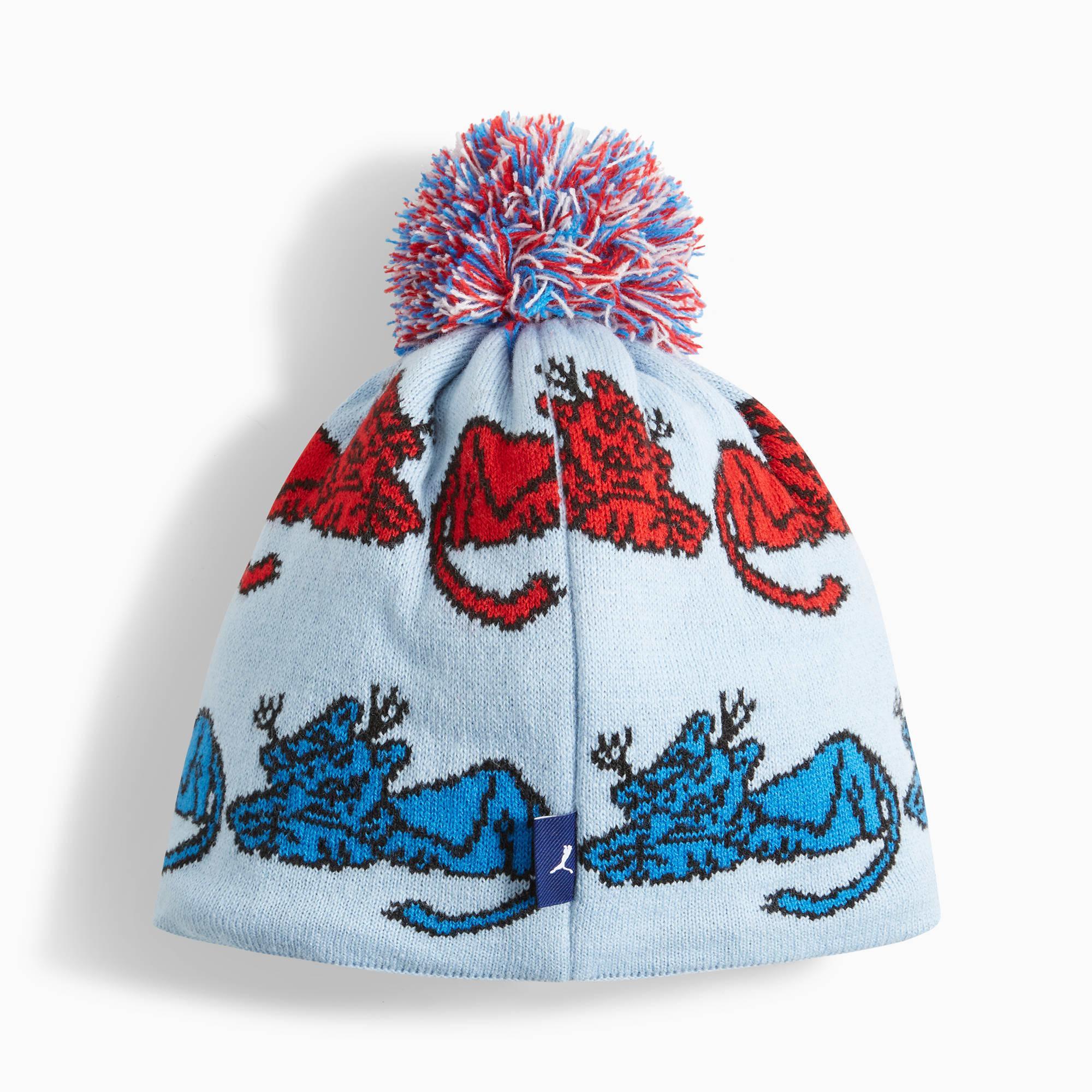 PUMA x NOAH Ski Beanie Product Image