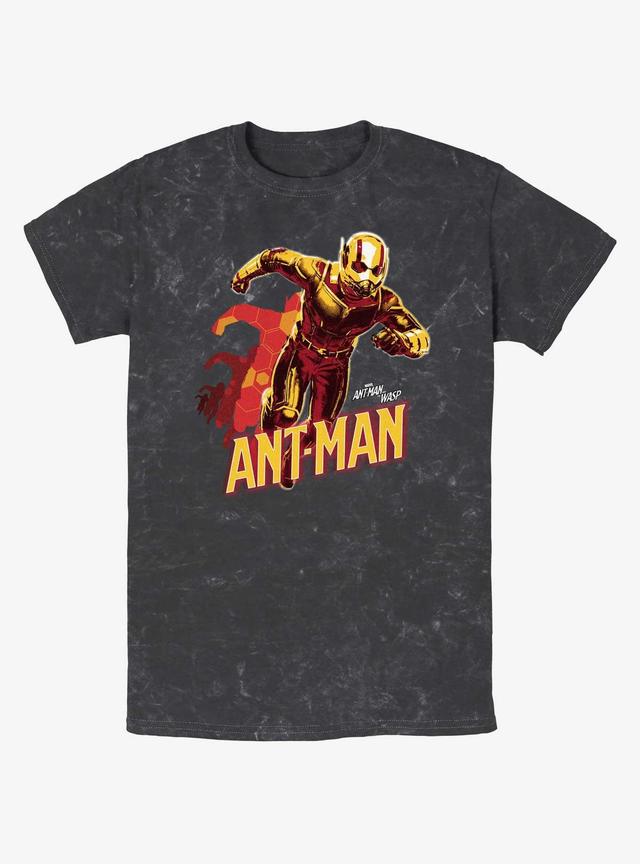 Marvel Ant-Man and the Wasp: Quantumania Ant-Man Transform T-Shirt Product Image