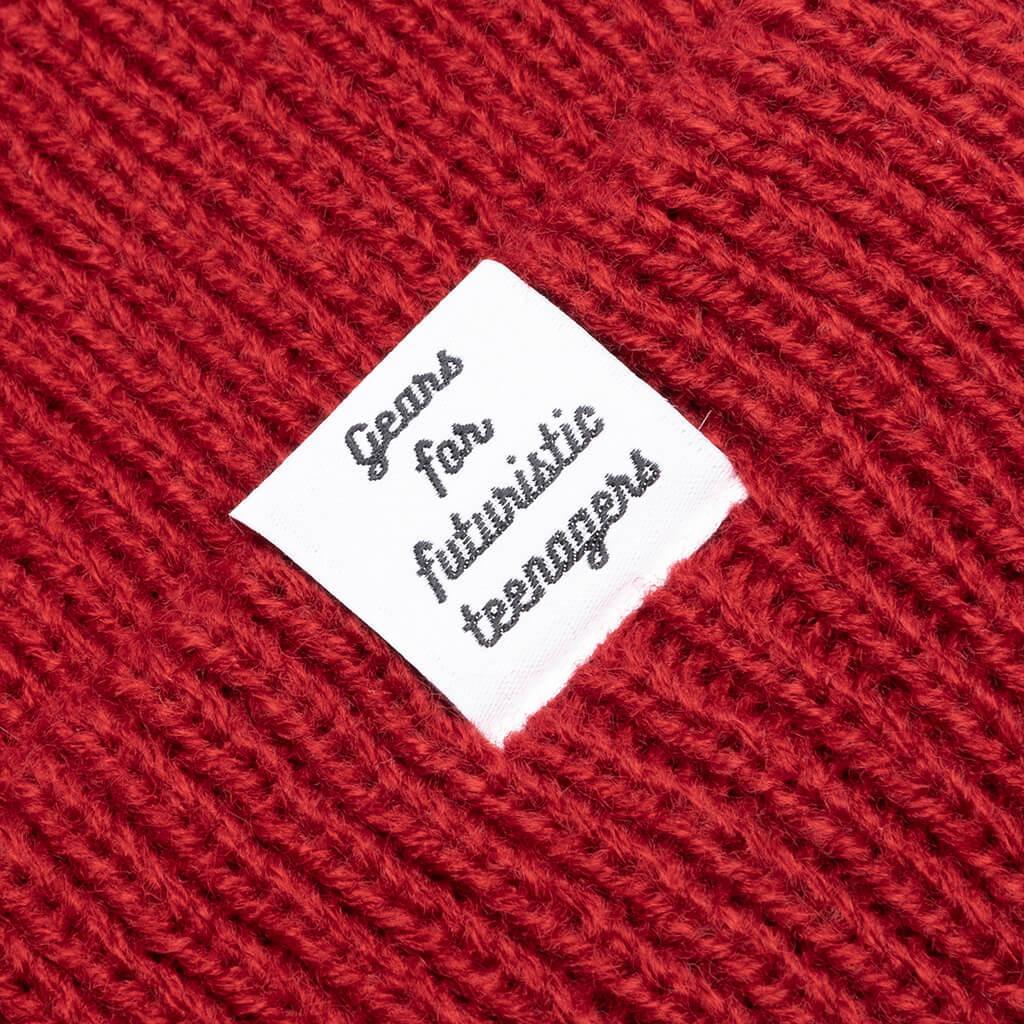 Classic Beanie - Red Male Product Image