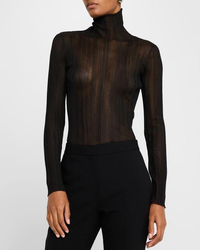 Sheer Plisse Turtleneck Top Product Image