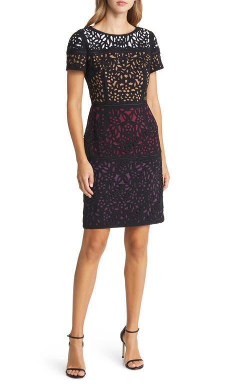 Shani Lace Colorblock Sheath Dress Product Image