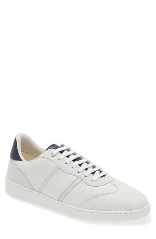 FERRAGAMO Achille Low Top Sneaker Product Image