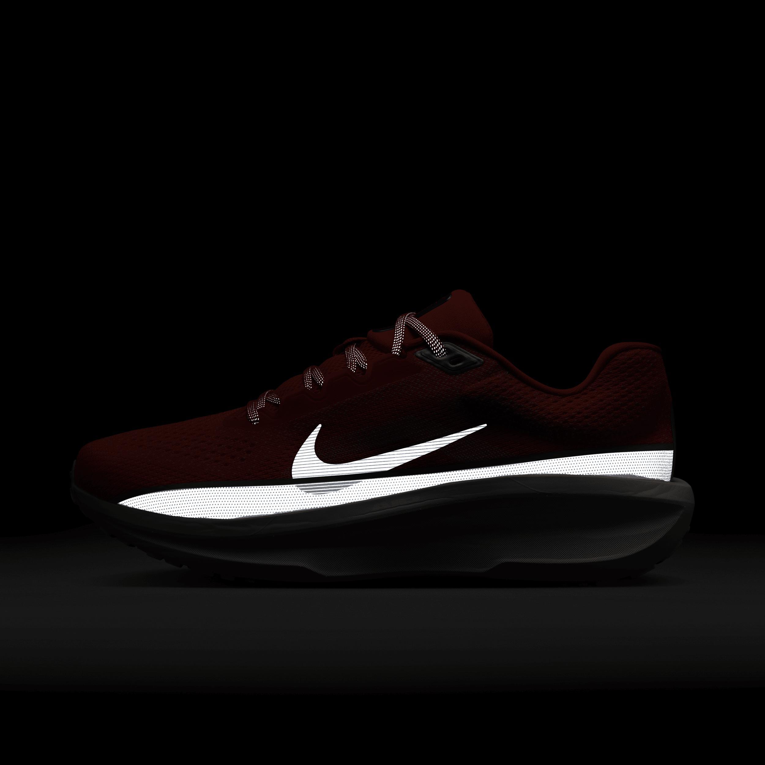 Nike Men's Winflo 11 PRM Road Running Shoes Product Image