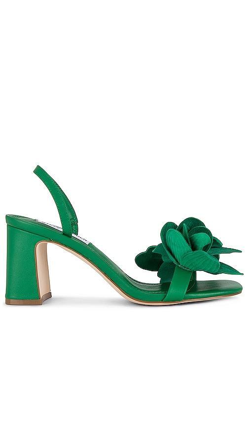 Steve Madden Farrie Sandal in Green. - size 9 (also in 10, 5.5, 6, 6.5, 7, 7.5, 8, 8.5) Product Image