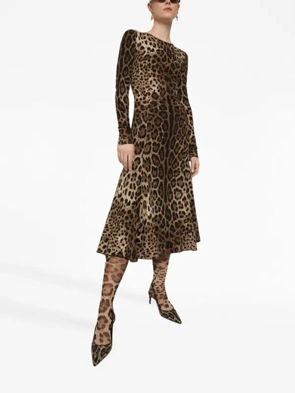 DOLCE & GABBANA Animal Patterned Midi Dress With Flared Bottom In Multicolour Product Image