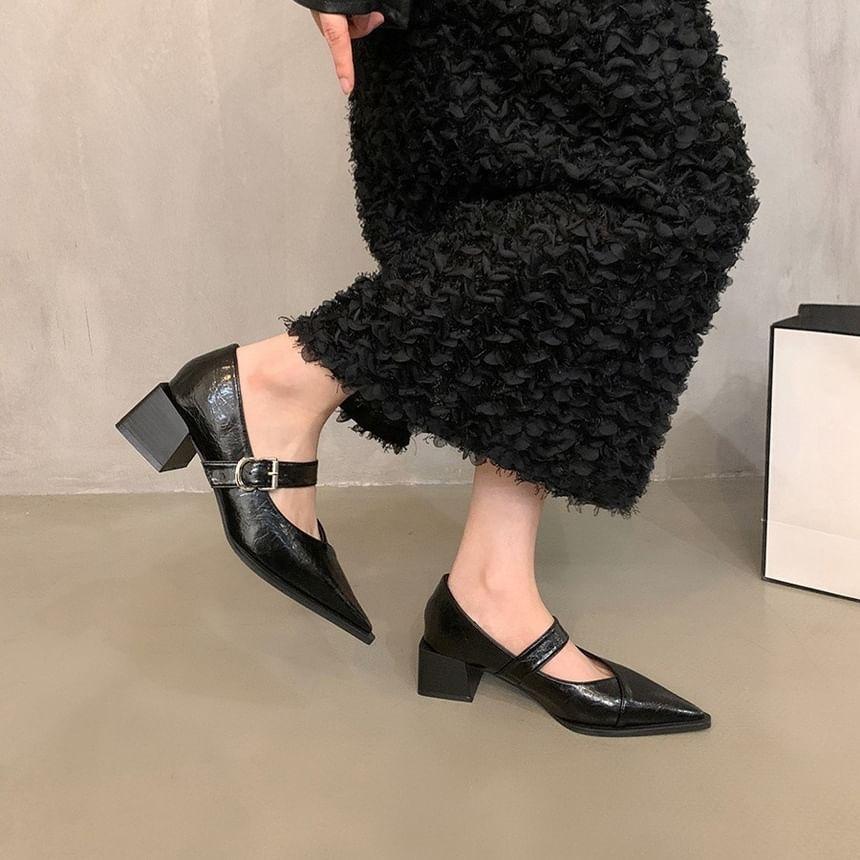 Pointed Toe Block Heel Mary Jane Pumps Product Image