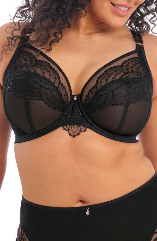 Elomi Priya Full Figure Underwire Plunge Bra Product Image