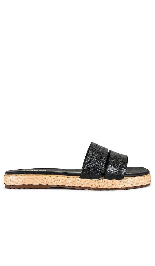 Dantita Sandal Product Image