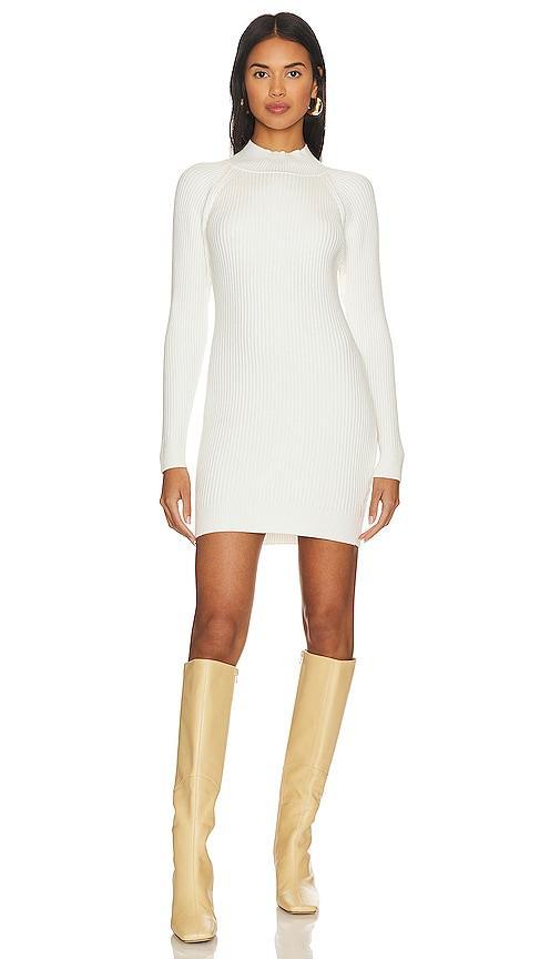 Rib Knit Mini Dress Product Image