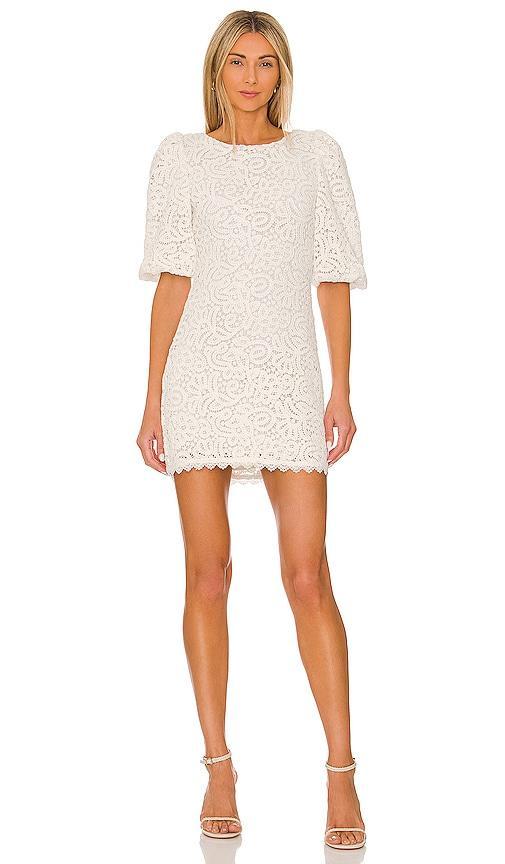 x REVOLVE Patrizia Mini Dress Product Image