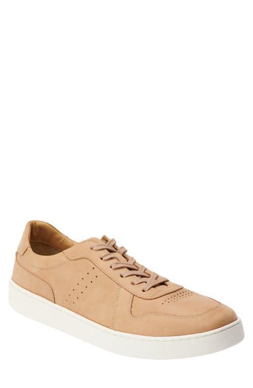 Nisolo Mens Beto Go-To Court Sneaker Product Image