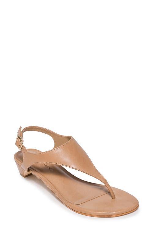 Womens Goldy Leather Demi Heel Sandals Product Image
