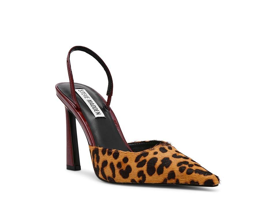 Steve Madden Drew (Leopard) Women's Shoes Product Image