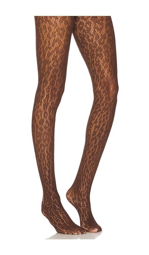 Leo Lace Tights Product Image