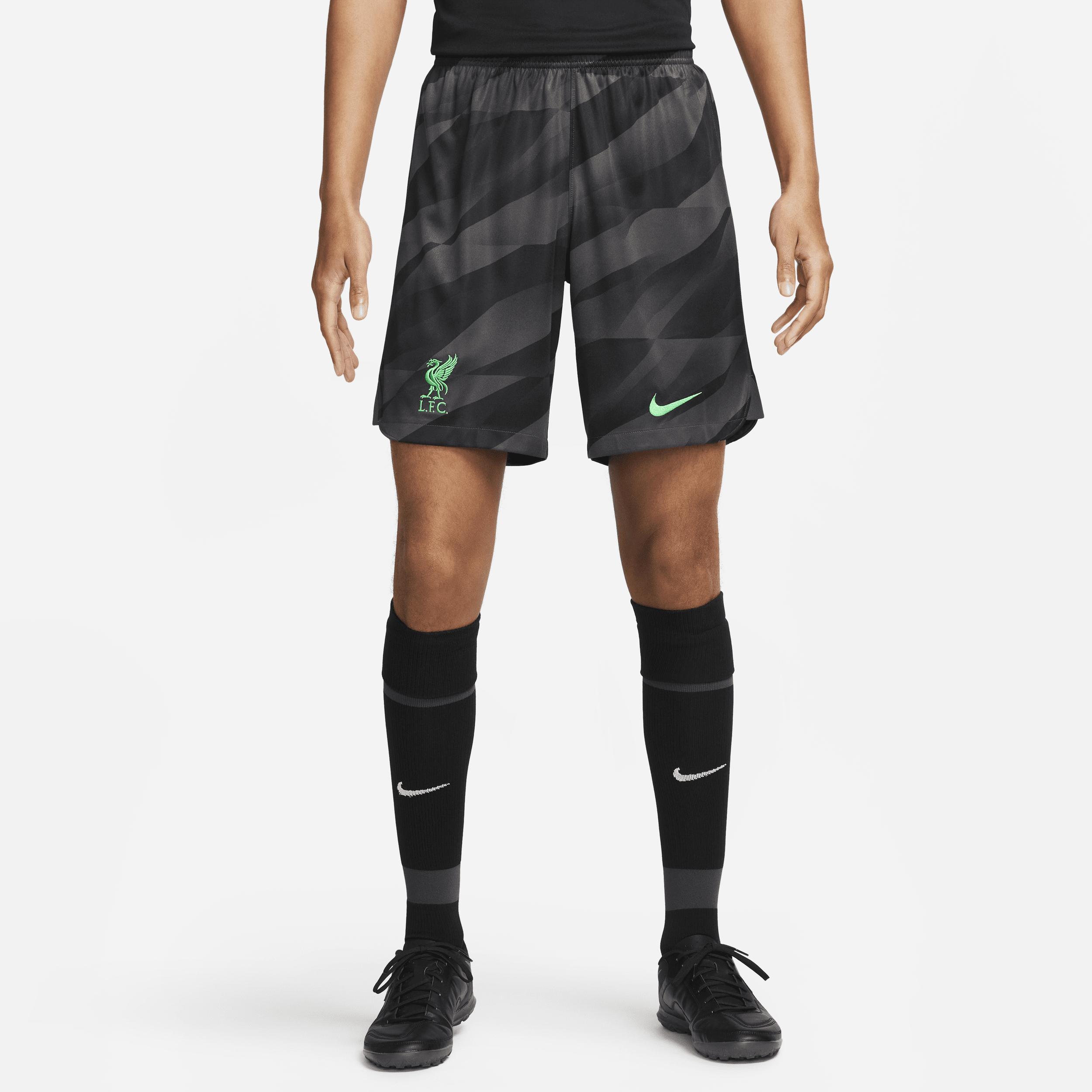 Mens Nike Anthracite Liverpool 2023/24 Stadium Goalkeeper Performance Shorts Product Image